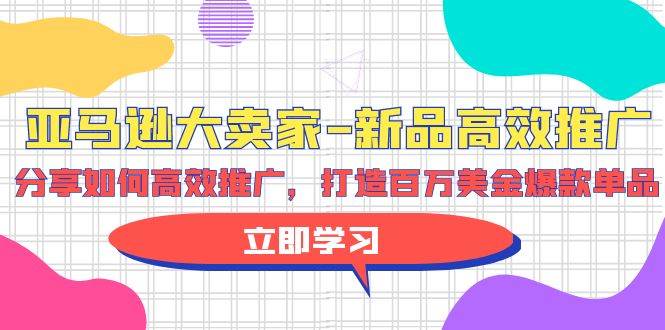亚马逊 大卖家-新品高效推广，分享如何高效推广，打造百万美金爆款单品-智宝网创