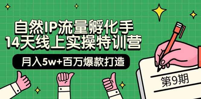 自然IP流量孵化手 14天线上实操特训营【第9期】月入5w+百万爆款打造 (74节)-智宝网创