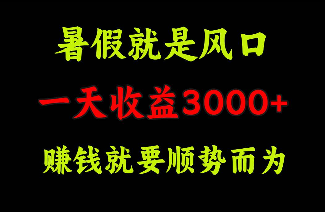 一天收益3000+ 赚钱就是顺势而为，暑假就是风口-智宝网创
