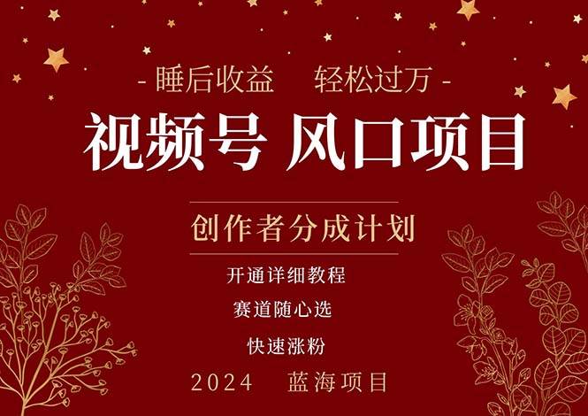拥有睡眠收益的微信视频号大风口项目，轻松月入过万+，多赛道选择，可…-智宝网创