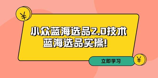 拼多多培训第33期：小众蓝海选品2.0技术-蓝海选品实操！-智宝网创