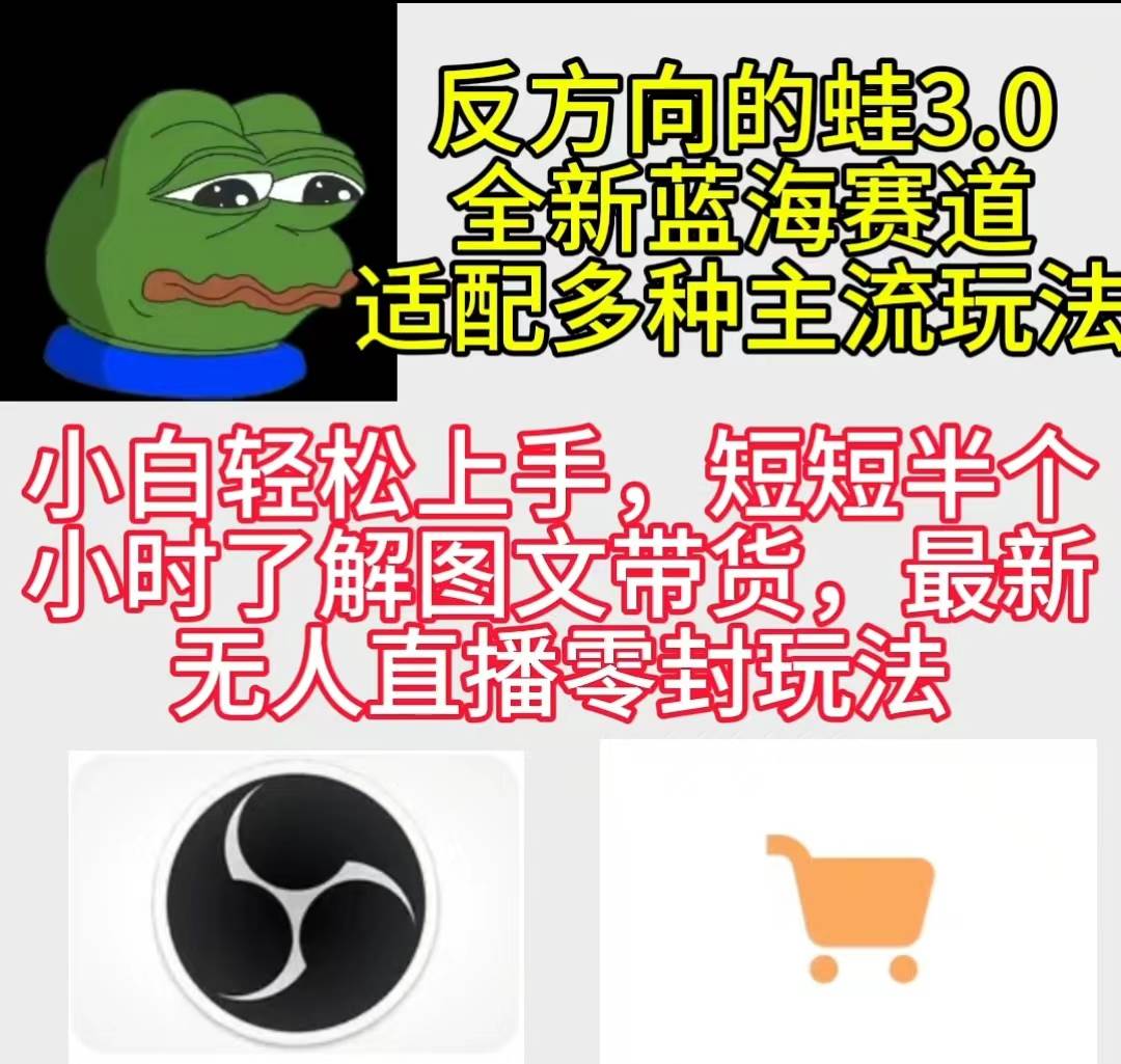 反方向的蛙3.0，图文最新玩法，变现多元化，新蓝海项目，小白轻松上手-智宝网创
