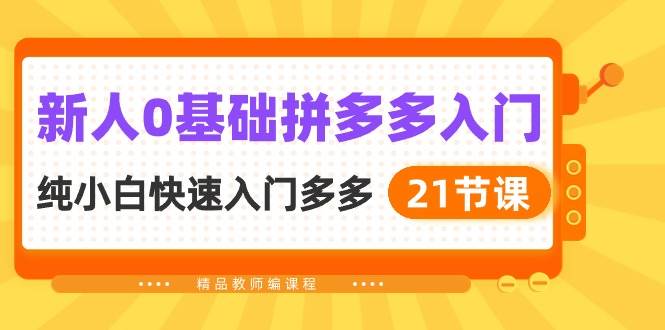 新人0基础拼多多入门，纯小白快速入门多多（21节课）-智宝网创