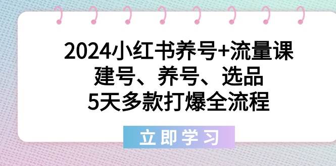 2024小红书养号+流量课：建号、养号、选品，5天多款打爆全流程-智宝网创
