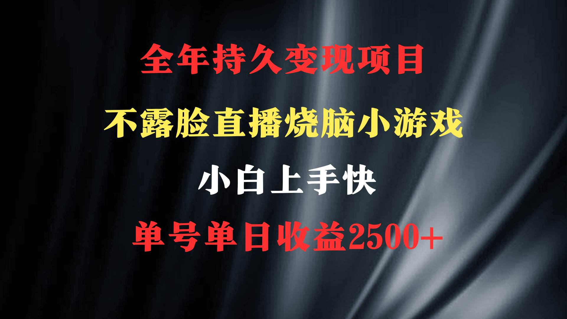 2024年 最优项目，烧脑小游戏不露脸直播  小白上手快 无门槛 一天收益2500+-智宝网创