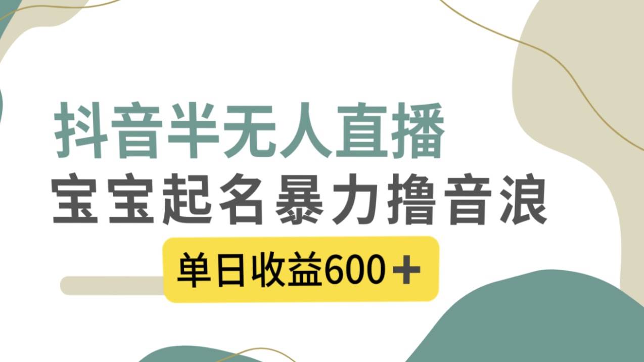 抖音半无人直播，宝宝起名，暴力撸音浪，单日收益600+-智宝网创