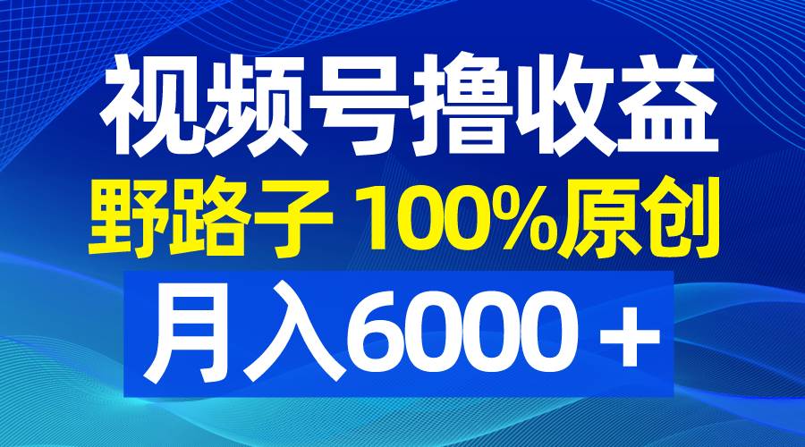 视频号野路子撸收益，100%原创，条条爆款，月入6000＋-智宝网创