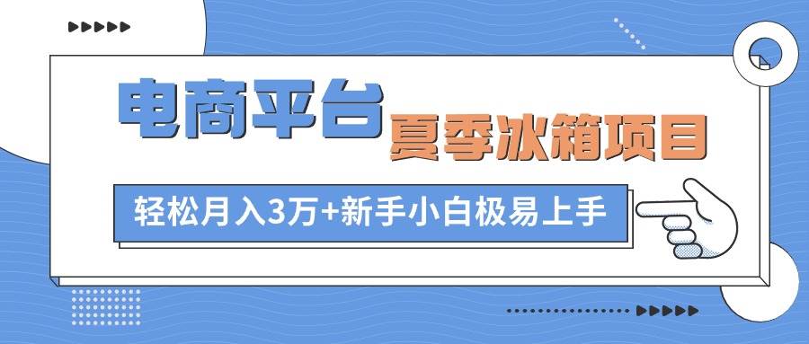 电商平台夏季冰箱项目，轻松月入3万+，新手小白极易上手-智宝网创