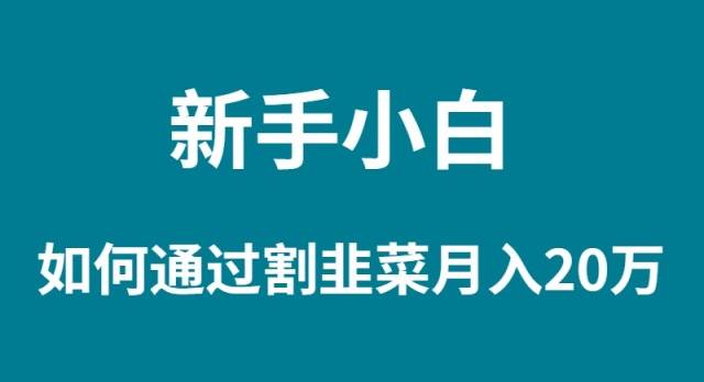 新手小白如何通过割韭菜月入 20W-智宝网创