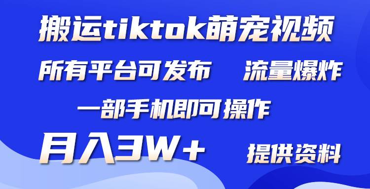 搬运Tiktok萌宠类视频，一部手机即可。所有短视频平台均可操作，月入3W+-智宝网创