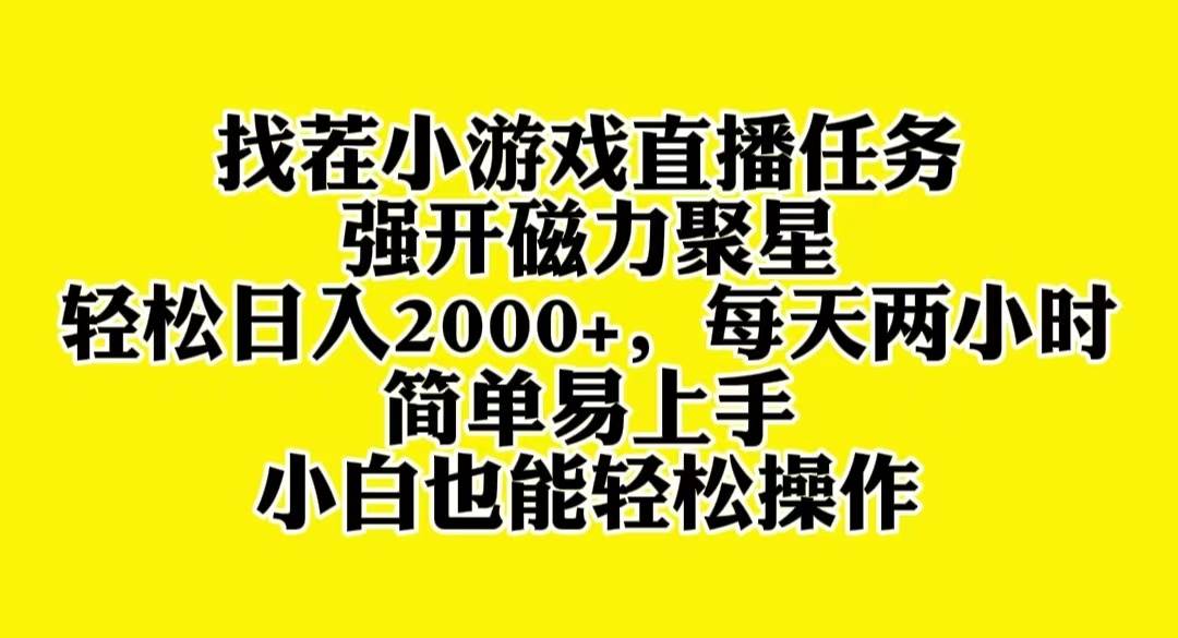 找茬小游戏直播，强开磁力聚星，轻松日入2000+，小白也能轻松上手-智宝网创