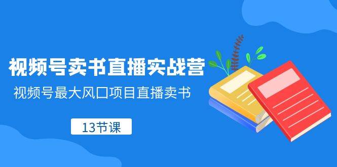 视频号-卖书直播实战营，视频号最大风囗项目直播卖书（13节课）-智宝网创