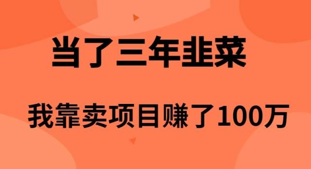 当了3年韭菜，我靠卖项目赚了100万-智宝网创