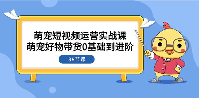 萌宠·短视频运营实战课：萌宠好物带货0基础到进阶（38节课）-智宝网创