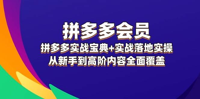 拼多多 会员，拼多多实战宝典+实战落地实操，从新手到高阶内容全面覆盖-智宝网创