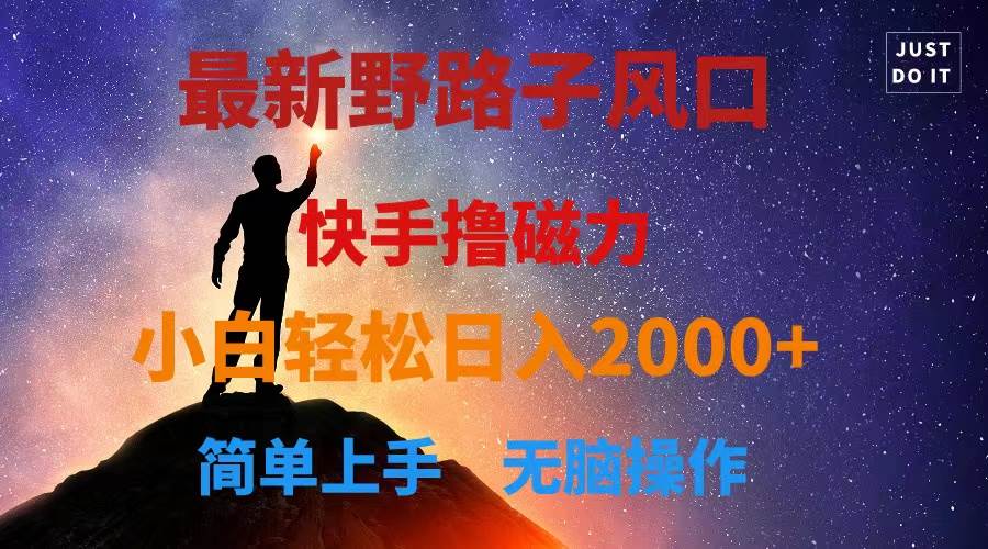 最新风口！快手撸磁力，野路子，小白无脑操作日入2000+-智宝网创