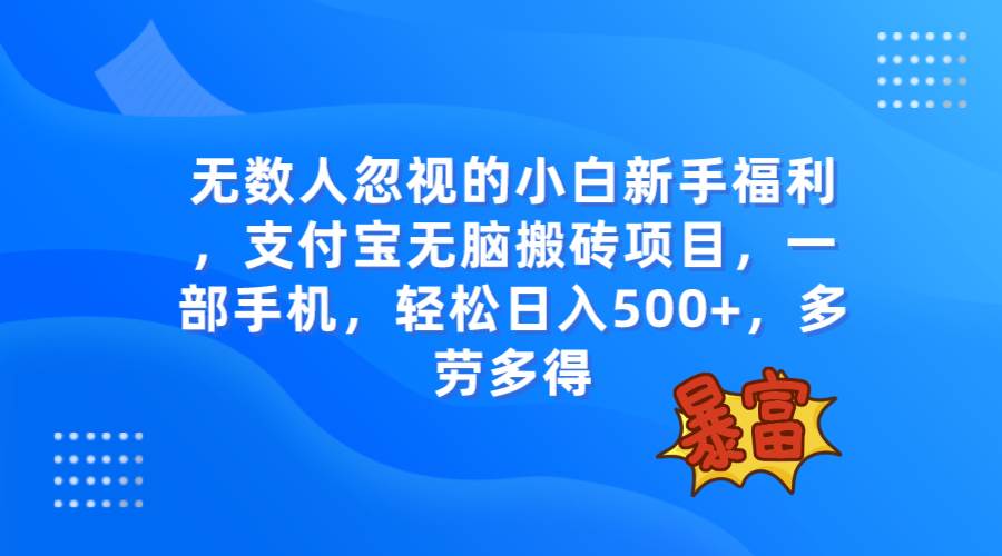 无数人忽视的项目，支付宝无脑搬砖项目，一部手机即可操作，轻松日入500+-智宝网创