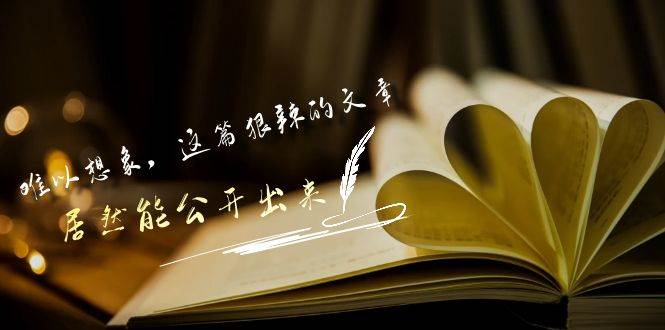 某付费文章《难以 想象，这篇狠辣的文章，居然能公开出来》-智宝网创