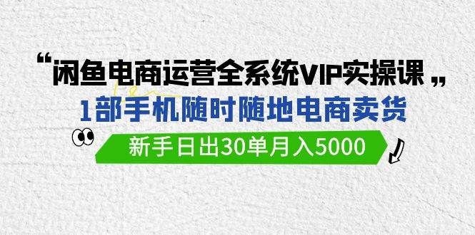 闲鱼电商运营全系统VIP实战课，1部手机随时随地卖货，新手日出30单月入5000-智宝网创