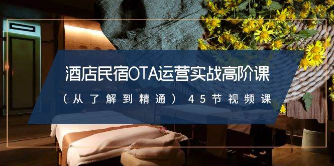 酒店民宿-OTA运营实战高阶课（从了解到精通）45节视频课-智宝网创