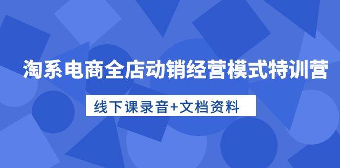 淘系电商全店动销经营模式特训营，线下课录音+文档资料-智宝网创