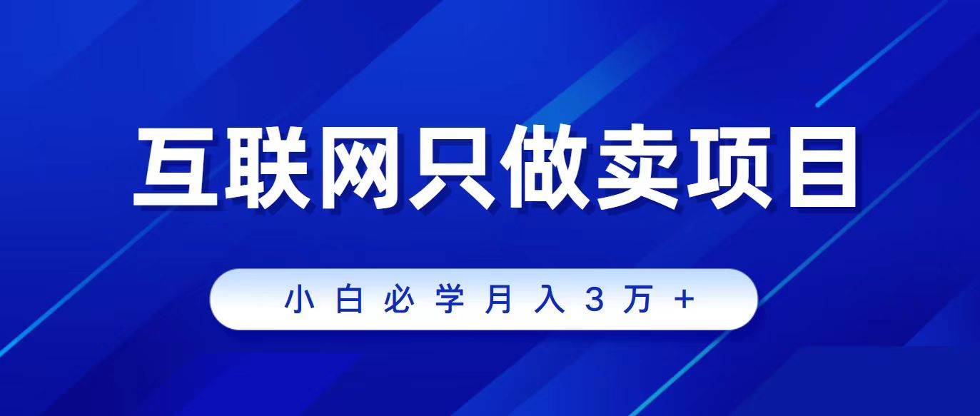 互联网的尽头就是卖项目，被割过韭菜的兄弟们必看！轻松月入三万以上！-智宝网创