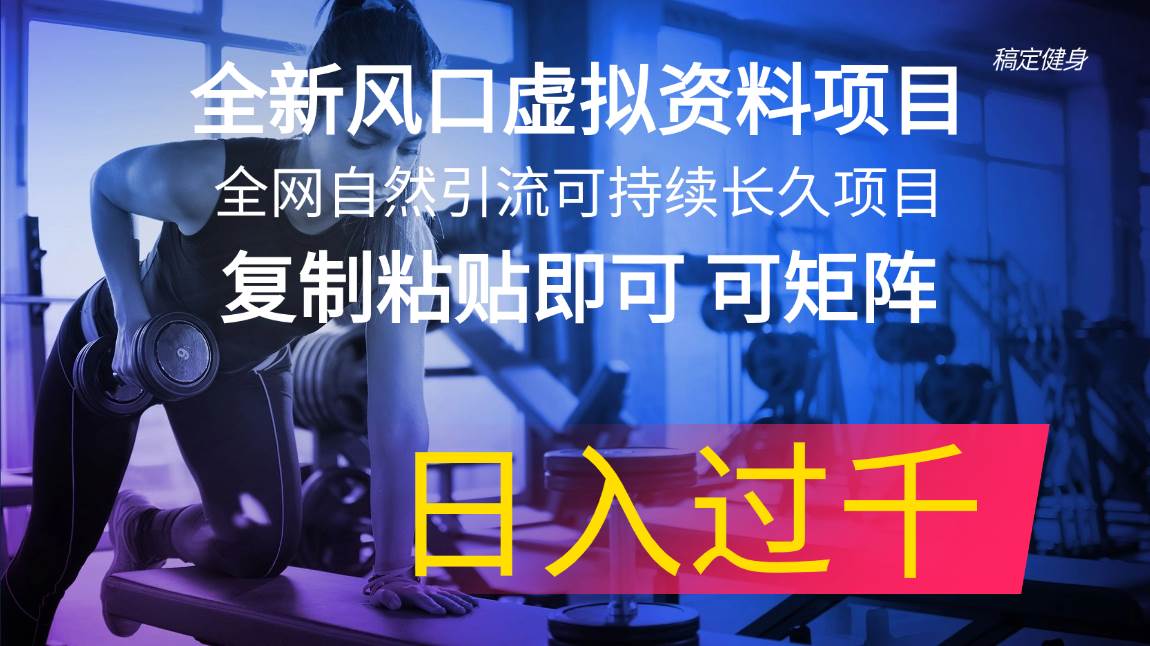 全新风口虚拟资料项目 全网自然引流可持续长久项目 复制粘贴即可可矩阵…-智宝网创