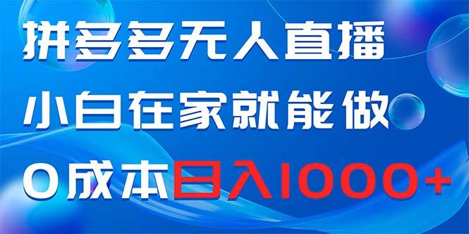 拼多多无人直播，小白在家就能做，0成本日入1000+-智宝网创