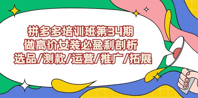 拼多多培训班第34期：做高价女装必盈利剖析  选品/测款/运营/推广/拓展-智宝网创