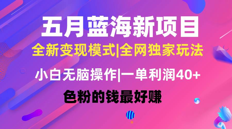 五月蓝海项目全新玩法，小白无脑操作，一天几分钟，矩阵操作，月入4万+-智宝网创