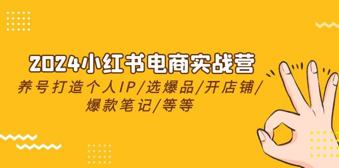 2024小红书电商实战营，养号打造IP/选爆品/开店铺/爆款笔记/等等（24节）-智宝网创