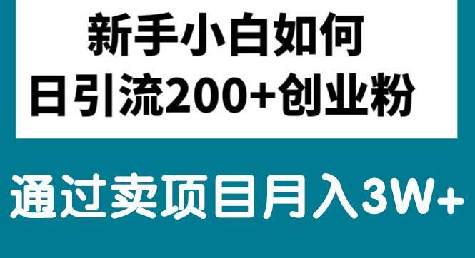 新手小白日引流200+创业粉,通过卖项目月入3W+-智宝网创