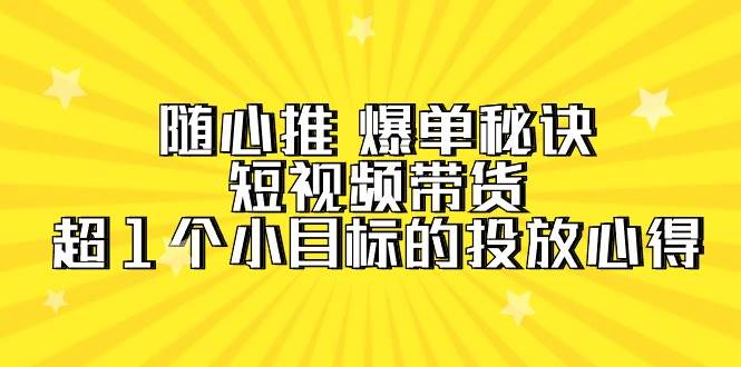 随心推 爆单秘诀，短视频带货-超1个小目标的投放心得（7节视频课）-智宝网创