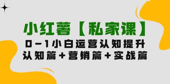 小红薯【私家课】0-1玩赚小红书内容营销，认知篇+营销篇+实战篇（11节课）-智宝网创