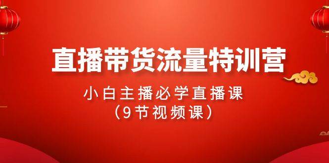 2024直播带货流量特训营，小白主播必学直播课（9节视频课）-智宝网创