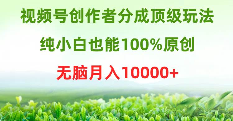 视频号创作者分成顶级玩法，纯小白也能100%原创，无脑月入10000+-智宝网创