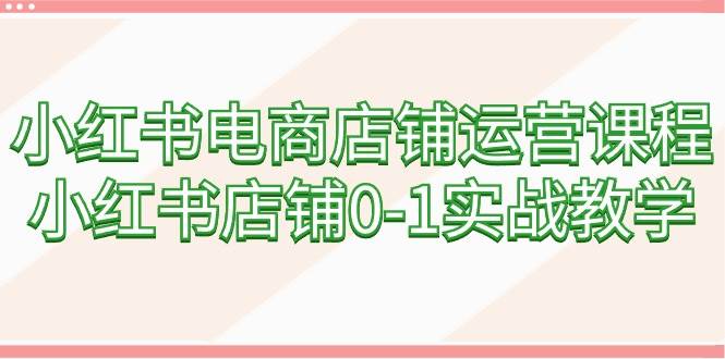 小红书电商店铺运营课程，小红书店铺0-1实战教学（60节课）-智宝网创