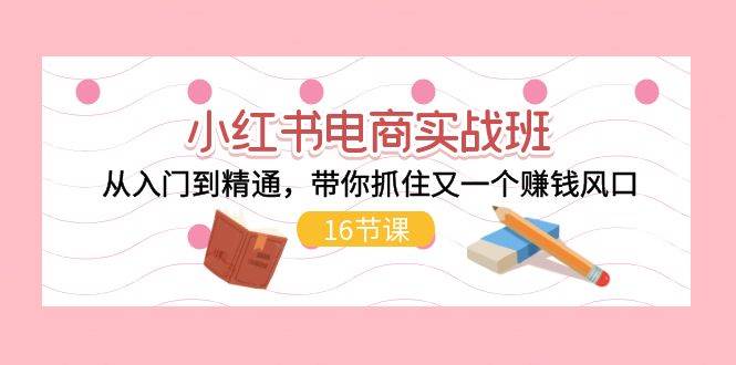 小红书电商实战班，从入门到精通，带你抓住又一个赚钱风口（16节）-智宝网创