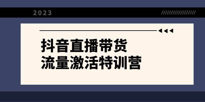 抖音直播带货-流量激活特训营，入行新手小白主播必学（21节课+资料）-智宝网创