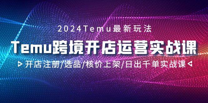 2024Temu跨境开店运营实战课，开店注册/选品/核价上架/日出千单实战课-智宝网创