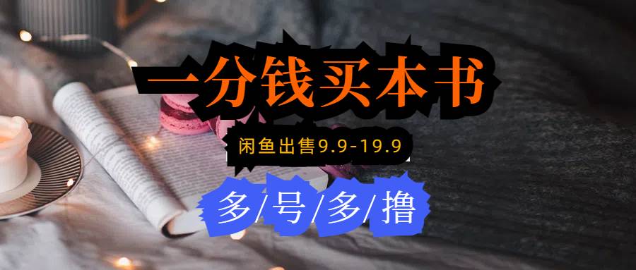 每天花1分钱买一本书，闲鱼出售9.9-19.9不等，多账号多撸 新手小白均可操作-智宝网创