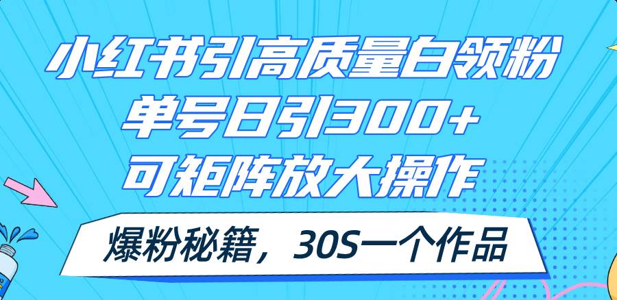 小红书引高质量白领粉，单号日引300+，可放大操作，爆粉秘籍！30s一个作品-智宝网创