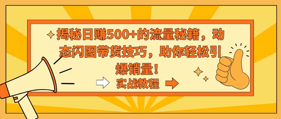 揭秘日赚500+的流量秘籍，动态闪图带货技巧，助你轻松引爆销量！-智宝网创