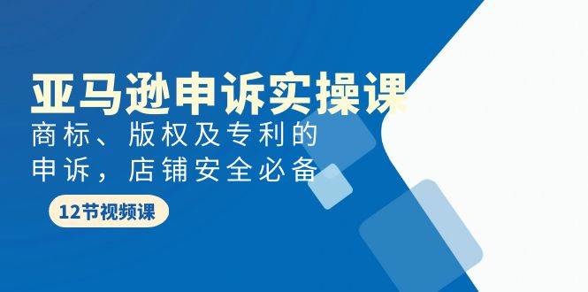 亚马逊-申诉实战课，商标、版权及专利的申诉，店铺安全必备-智宝网创