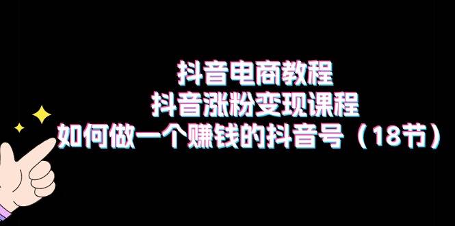 抖音电商教程：抖音涨粉变现课程：如何做一个赚钱的抖音号（18节）-智宝网创