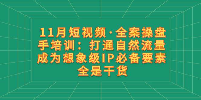 11月短视频·全案操盘手培训：打通自然流量 成为想象级IP必备要素 全是干货-智宝网创