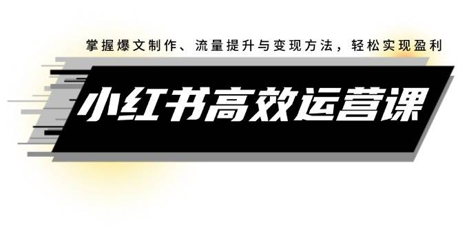 小红书高效运营课：掌握爆文制作、流量提升与变现方法，轻松实现盈利-智宝网创