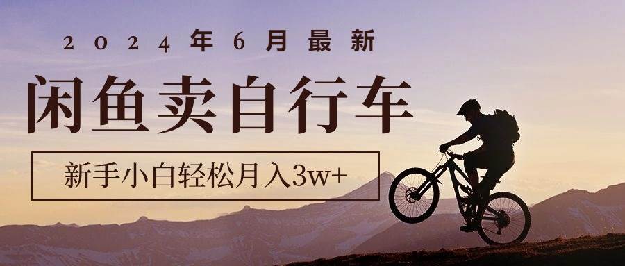 2024年6月最新闲鱼卖自行车，新手小白轻松月入3w+项目-智宝网创