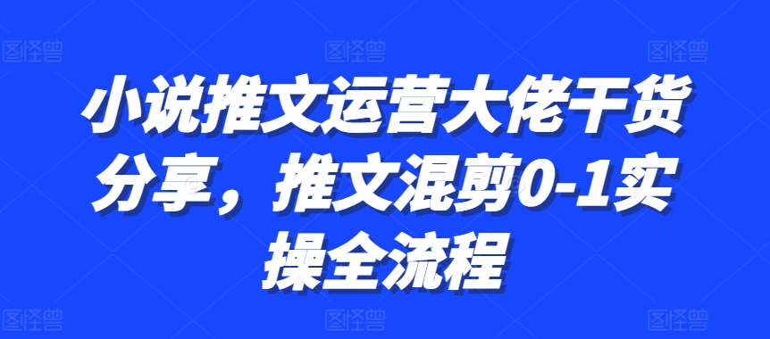 小说推文运营大佬干货分享，推文混剪0-1实操全流程-智宝网创
