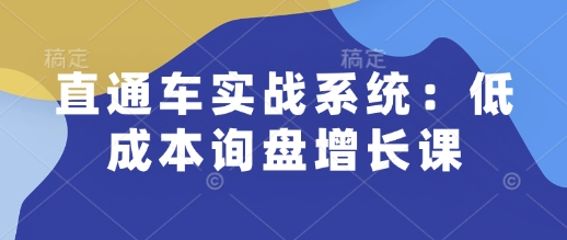 直通车实战系统：低成本询盘增长课，让个人通过技能实现升职加薪，让企业低成本获客，订单源源不断-智宝网创